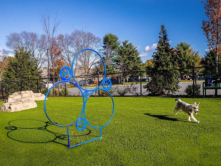 WAG Pet Park