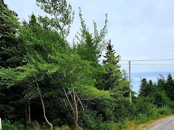 4th image of 28 Duffs Road