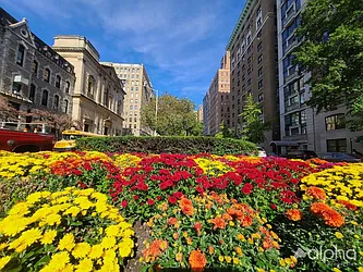 Rented by Alpha Properties NYC I LLC