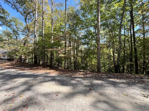 LOT 3261 Haven Ct, Ellijay, GA 30540