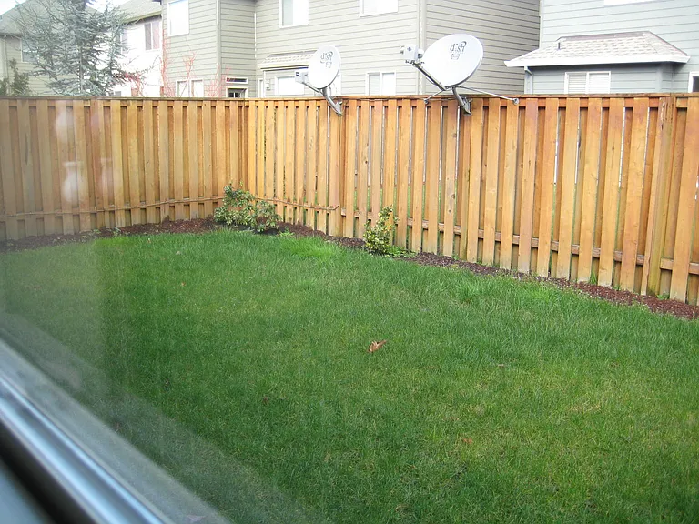 Backyard 3