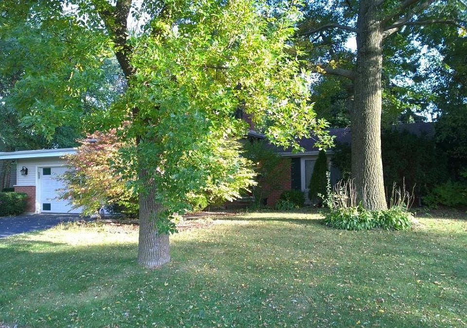 Tree filled lot with low maintenance