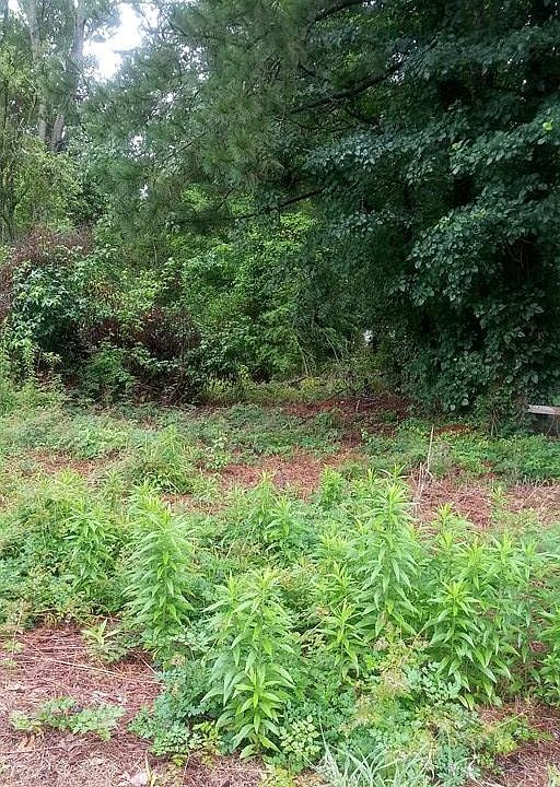 2nd image of 425 N Jones Rd