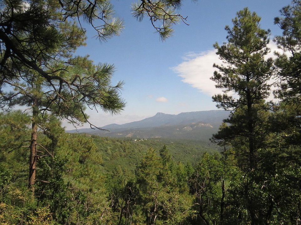 1st image of 36030 Lodgepole Trce