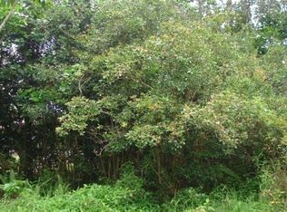Kuhio Dr. #LOT 86, Pahoa, HI 96778