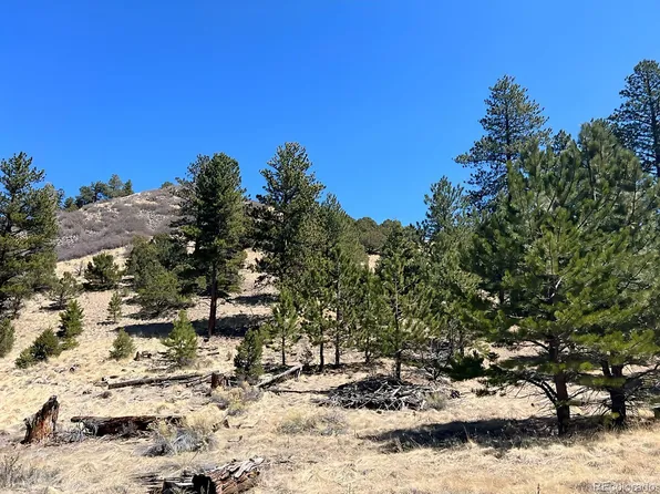 1500 Bunker Hill Road, Westcliffe, CO 81252
