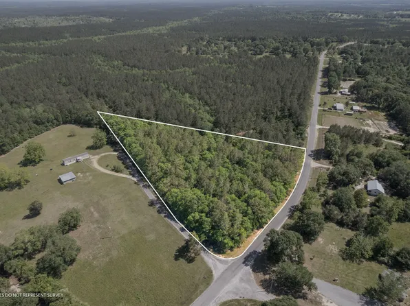 TRACT 50th Acres, Poplarville, MS 39470
