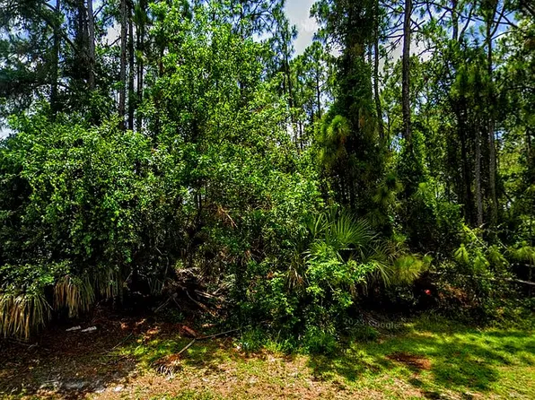 Douglas Rd, North Port, FL 34288
