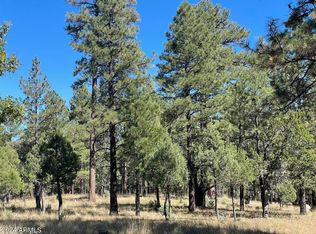 2567 San Juan Dr #180, Happy Jack, AZ 86024