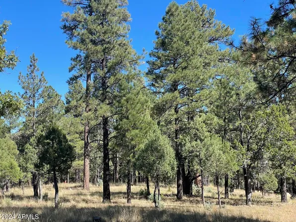 2567 SAN JUAN Drive #180, Happy Jack, AZ 86024