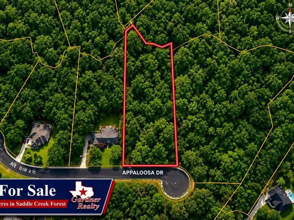 17847 Apaloosa Dr, Waller, TX 77484