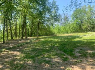 435 Burrowtown Rd, Mason, TN 38049