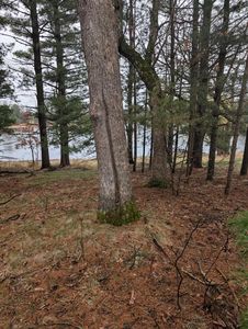 W7165 INDIAN MOUNDS CIRCLE, Wautoma, WI, 54982