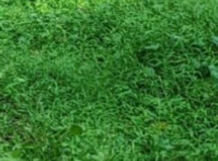 Sharon Rd, Jarrettsville, MD 21084