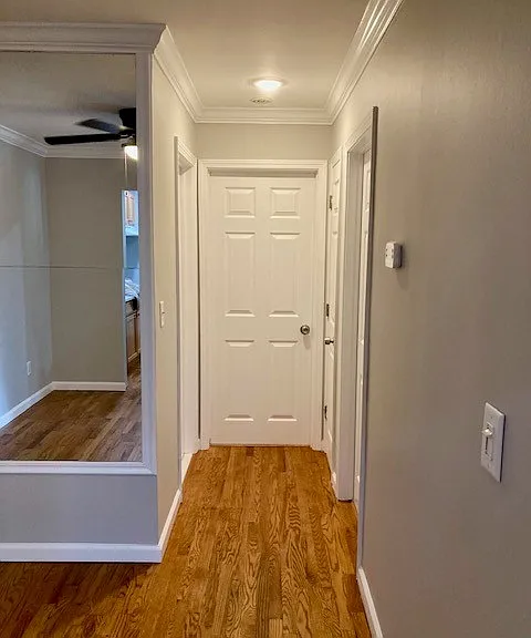 Hallway_03302026