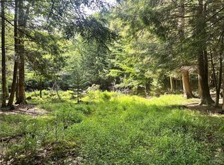 41 S Shore Rd LOT 12, Inlet, NY 13360