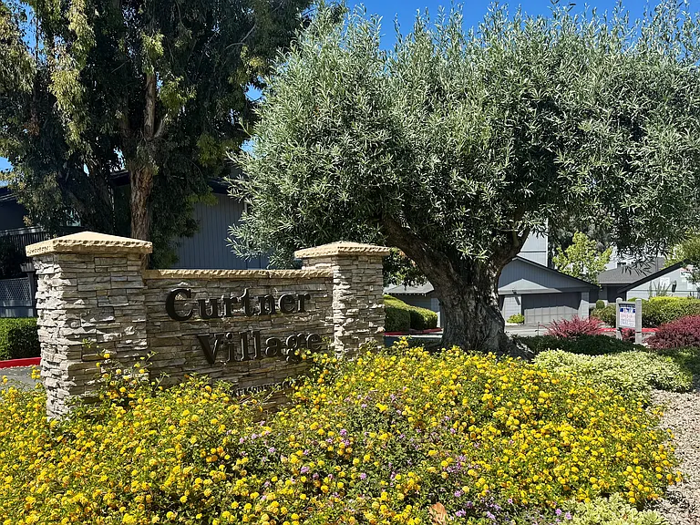 2214 Almaden Rd #B — Photo 24