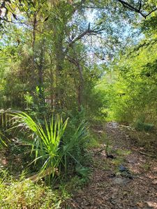 0000 E 7th St, Jacksonville, FL, 32218