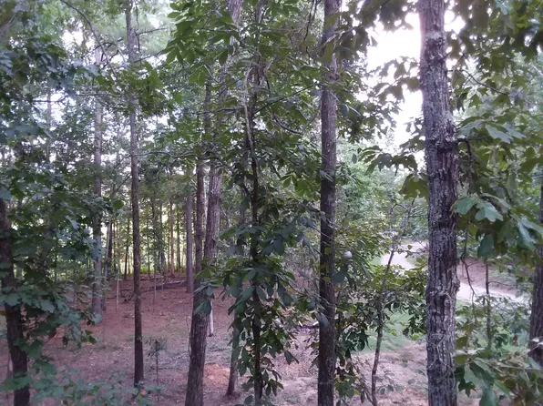 229 Brookside Ln, Vandiver, AL 35176