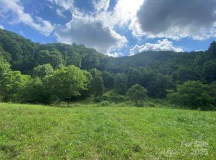 99999 Foster Creek Rd, Marshall, NC 28753