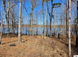 358 Lolley Rd, Downsville, LA 71234