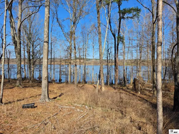 358 Lolley Rd, Downsville, LA 71234