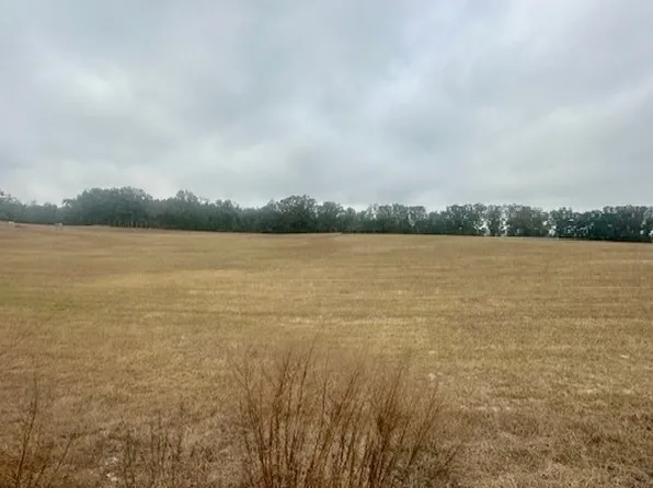 0 NW 31st Ave, Bell, FL 32619