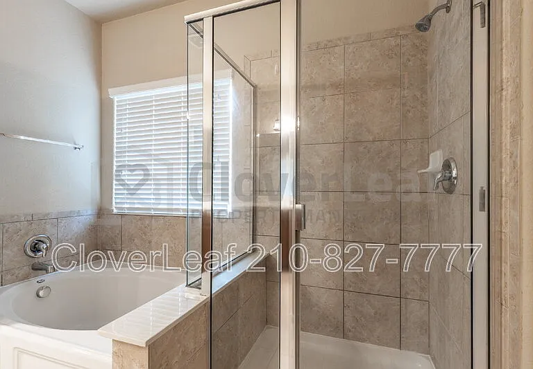 3734 Ox Eye Daisy — Photo 34