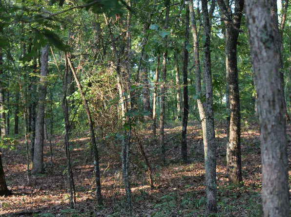 0 Knob Creek Rd #0, Melbourne, AR 72556