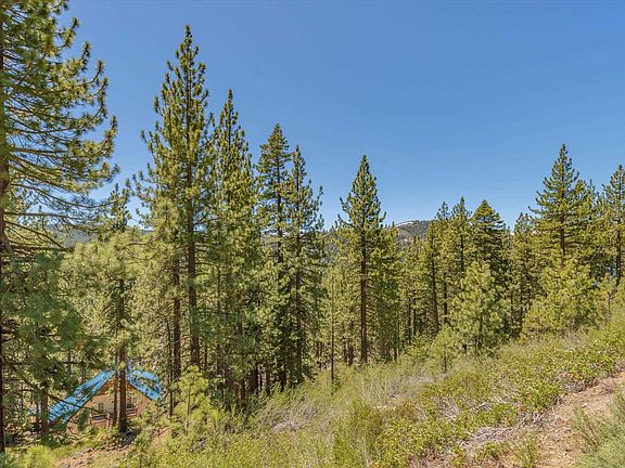 3rd image of 12593 Sierra Dr E