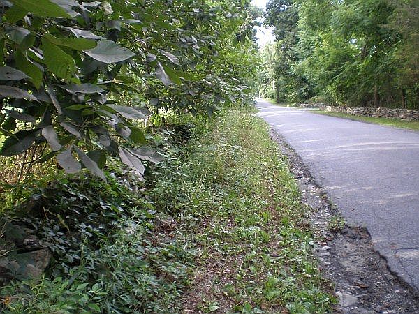 One Of The Prettiest 