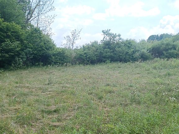 4th image of Hills Creek Lake Rd Lot Wp001