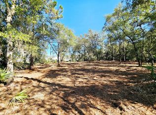Violet Cir LOT 1, Interlachen, FL 32148