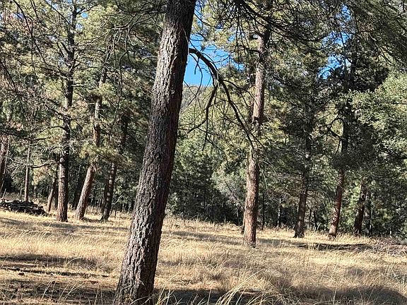 5th image of 0 Bell Canyon Rd