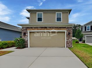 29648 Passerine Ct, Wesley Chapel, FL 33545