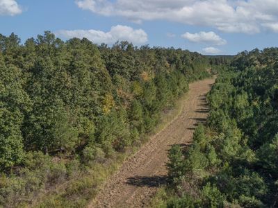 0 Walter Bright Rd, Sanford, NC, 27330