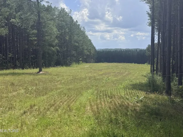 145 Black Bear Ln Lot 69, Sunbright, TN 37872