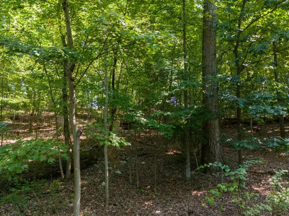 Nancy Ct, Front Royal, VA 22630