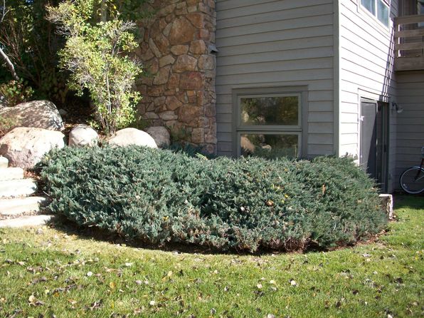 131 Mustang Rd, Edwards, CO 81632