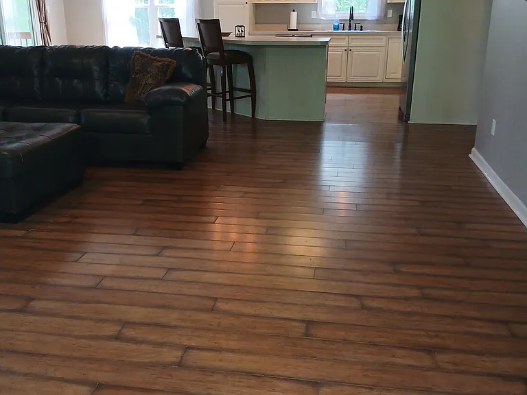Living room and kitchen