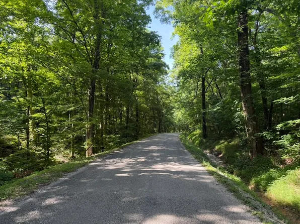 0 Roy Thompson Rd Lot Wp001, Mount Pleasant, TN 38474