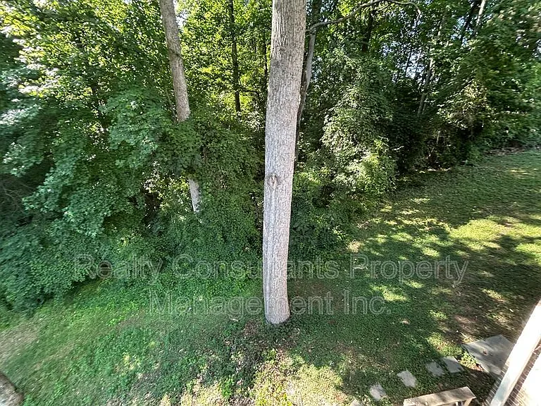 4540 Pebble Lake Dr — Photo 72
