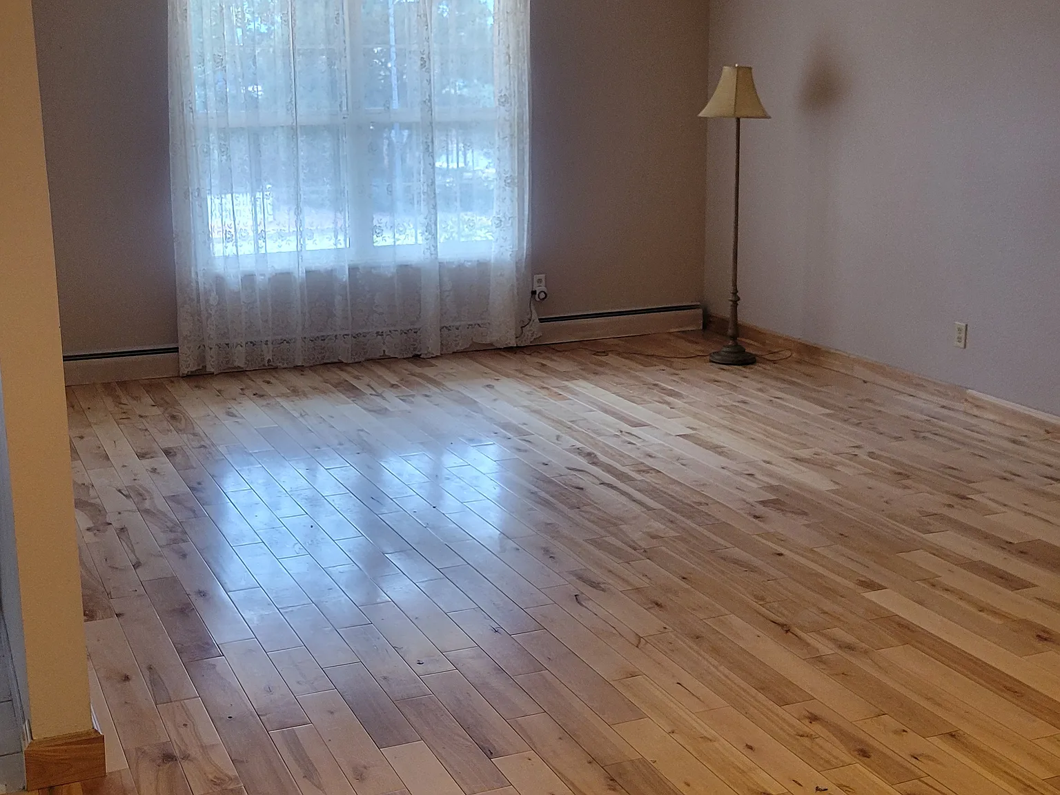 2505 Avondale Dr — Photo 2