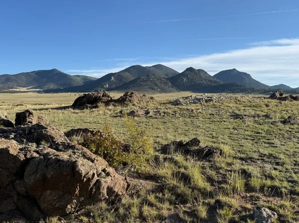 Turner Gulch Rd, Lake George, CO 80827