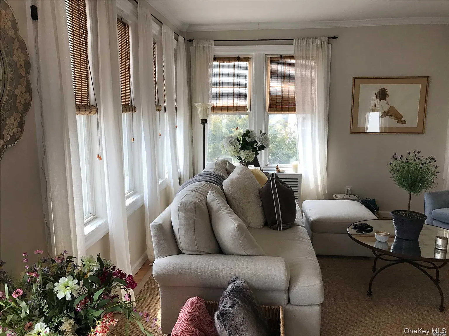 2 bed, 1.0 bath, 1000 sqft, $3,600 — Photo 2