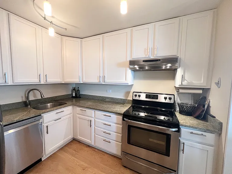 1850 N Clark St #2803 — Photo 10