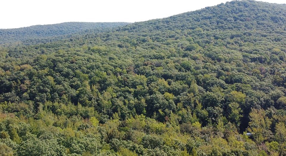 2nd image of 1 Forest Service Rd #116