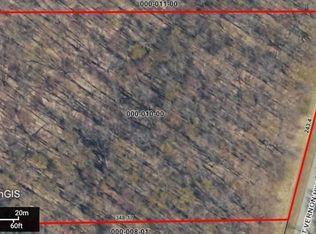 10 Mount Vernon Hills Dr, Vanderbilt, MI 49795