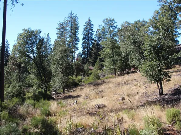 9072 Fox Dr, Cobb, CA 95426