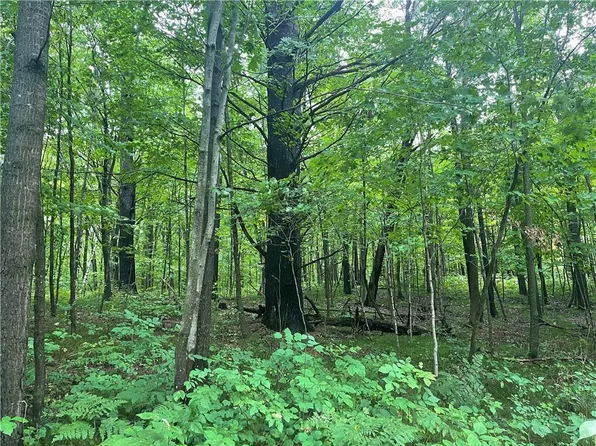 00 County Road B, Shell Lake, WI 54871